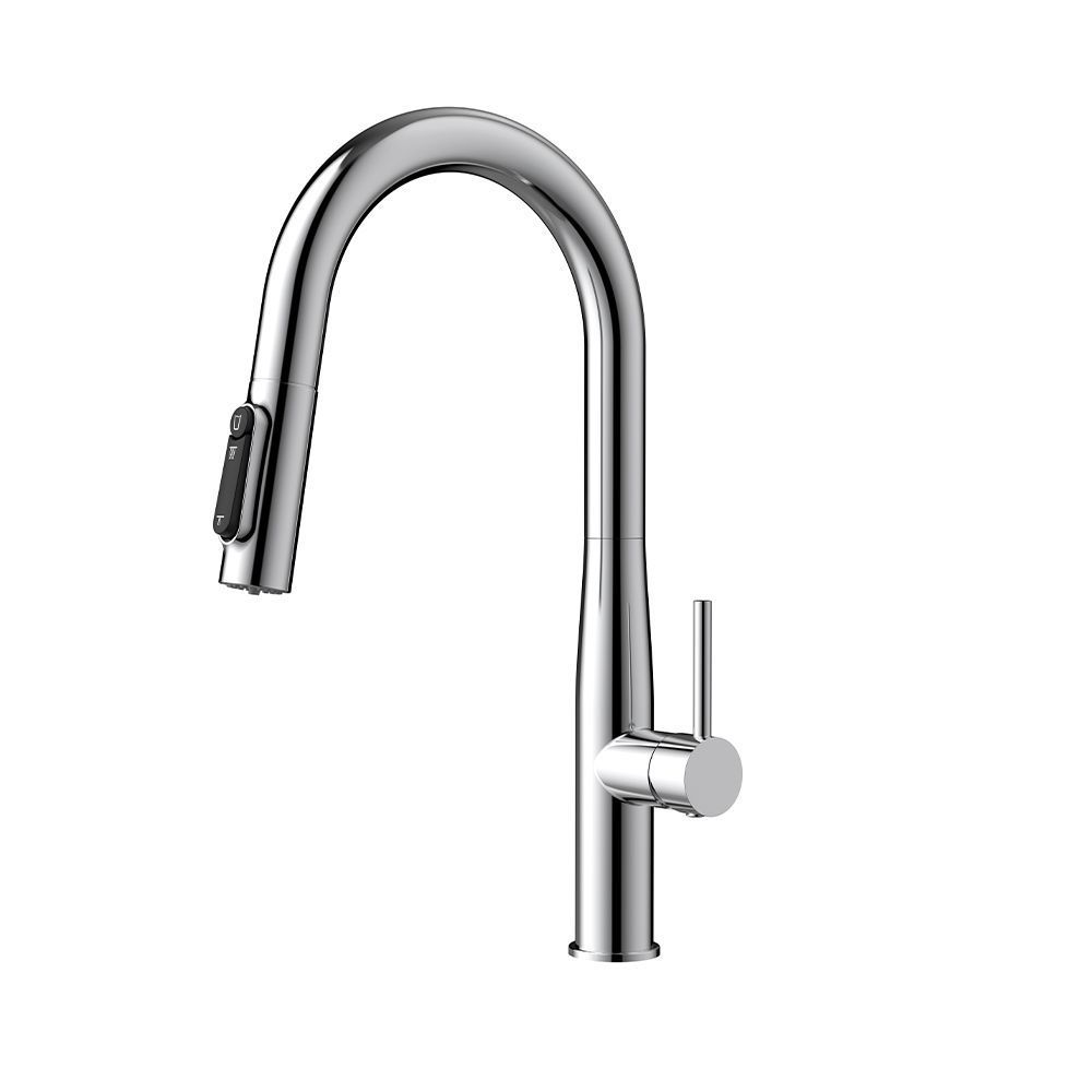 Orabella Pure water - Single lever kitchen mixer with pull out spray 2 exits C/B