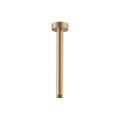 Βραχίονας Ντουζ Οροφής Στρόγγυλος – 17 cm Brushed gold